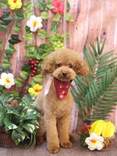 20230820まめくん